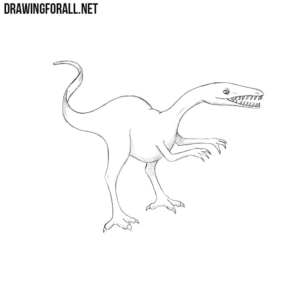 How to Draw a Dinosaur Step by Step | Drawingforall.net