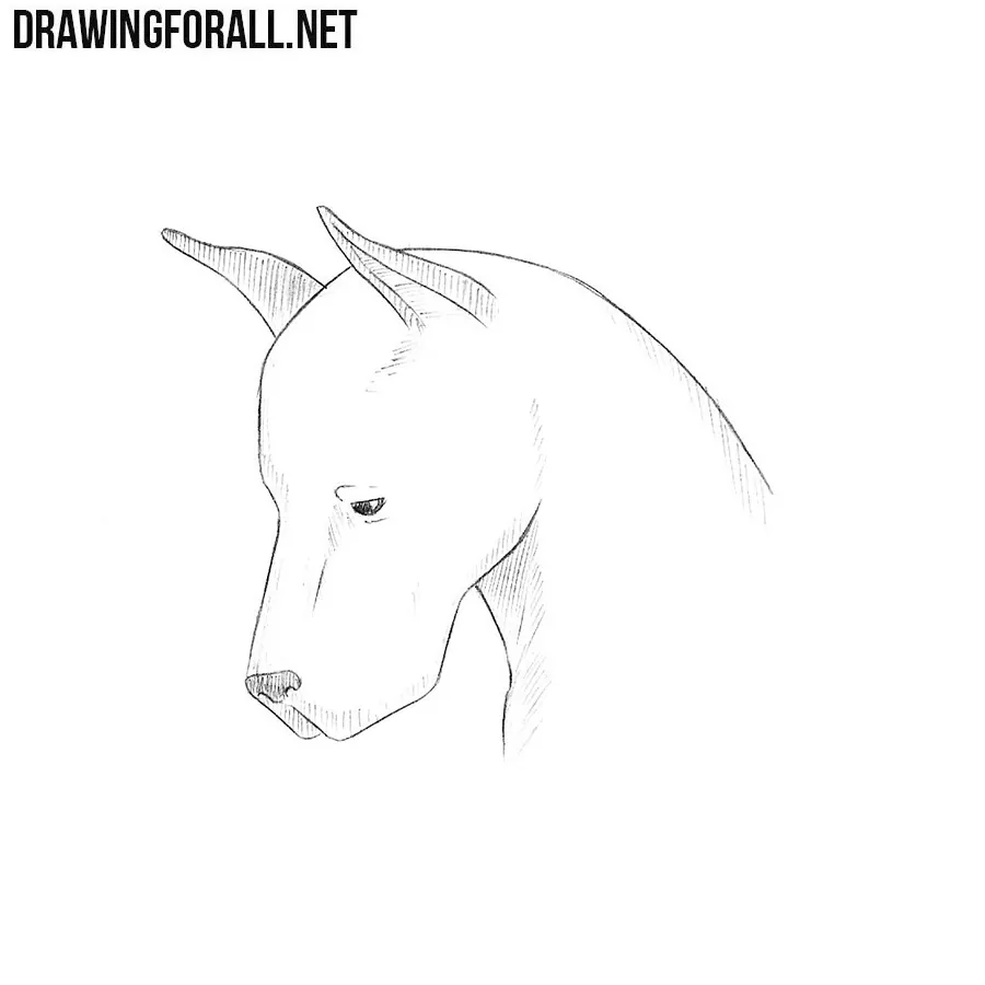 Featured image of post How To Draw A Dog Head Easy : Have fun drawing from these 50 selected dog drawing tutorials.