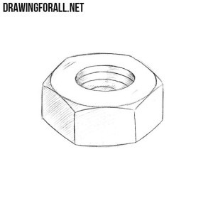 How to draw a nut