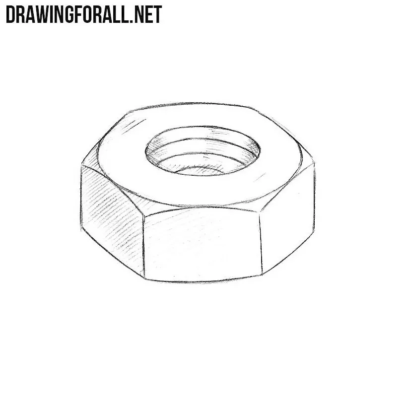 How to Draw a Nut