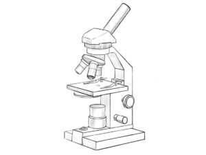 how to draw a microscope featured image