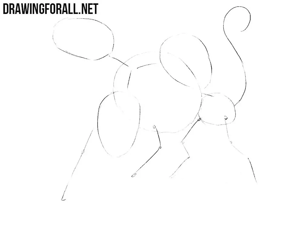 How to draw Cerberus