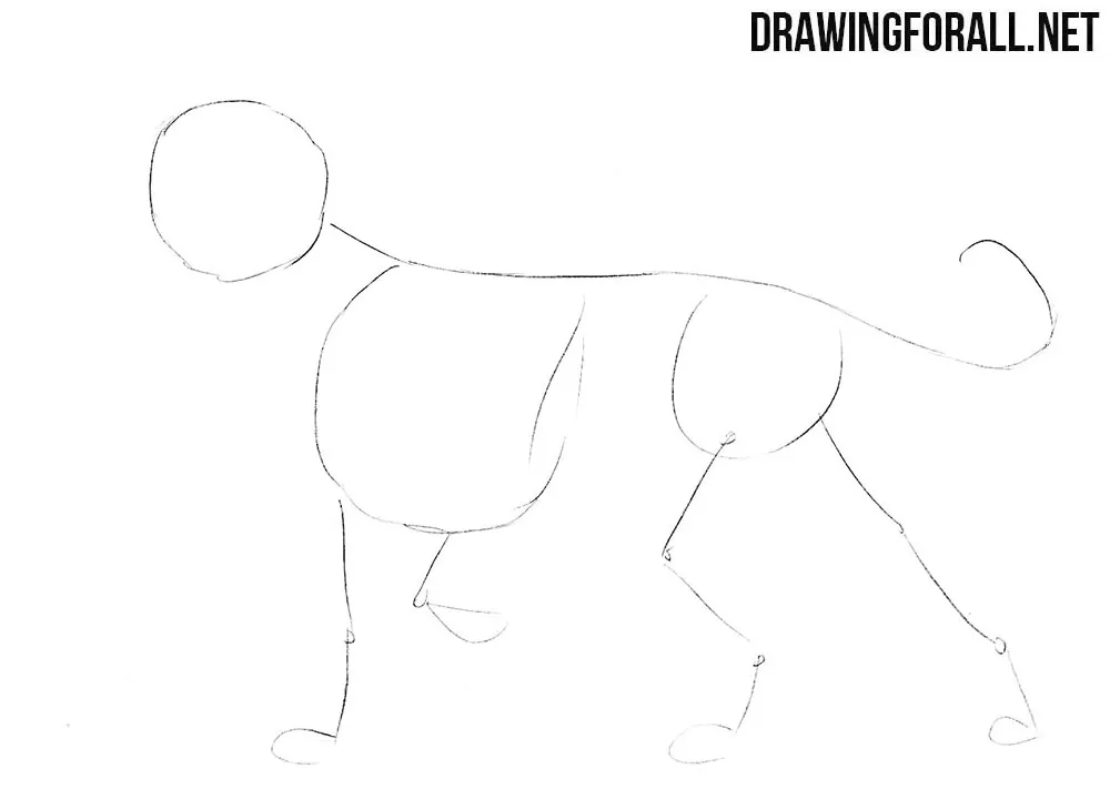 How to draw a Nemean lion