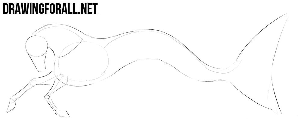 Learn to draw a hippocamp