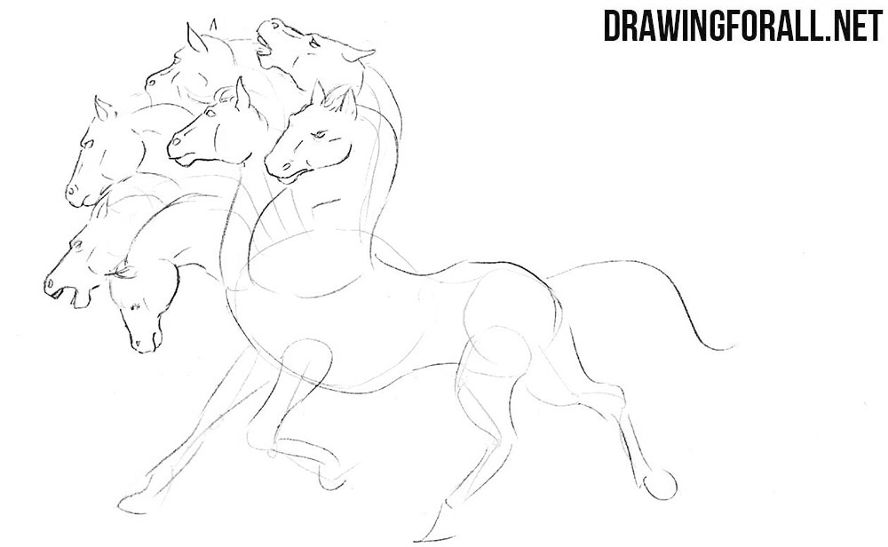 How to draw a horse from indian legends
