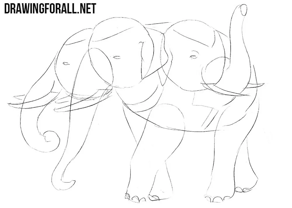 How to draw an elephant from myths