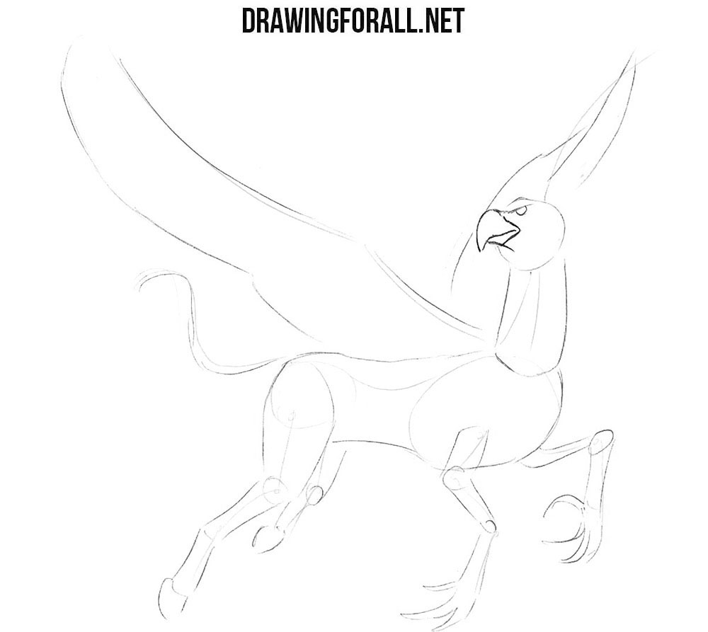 Learn to draw a hippogriff step by step