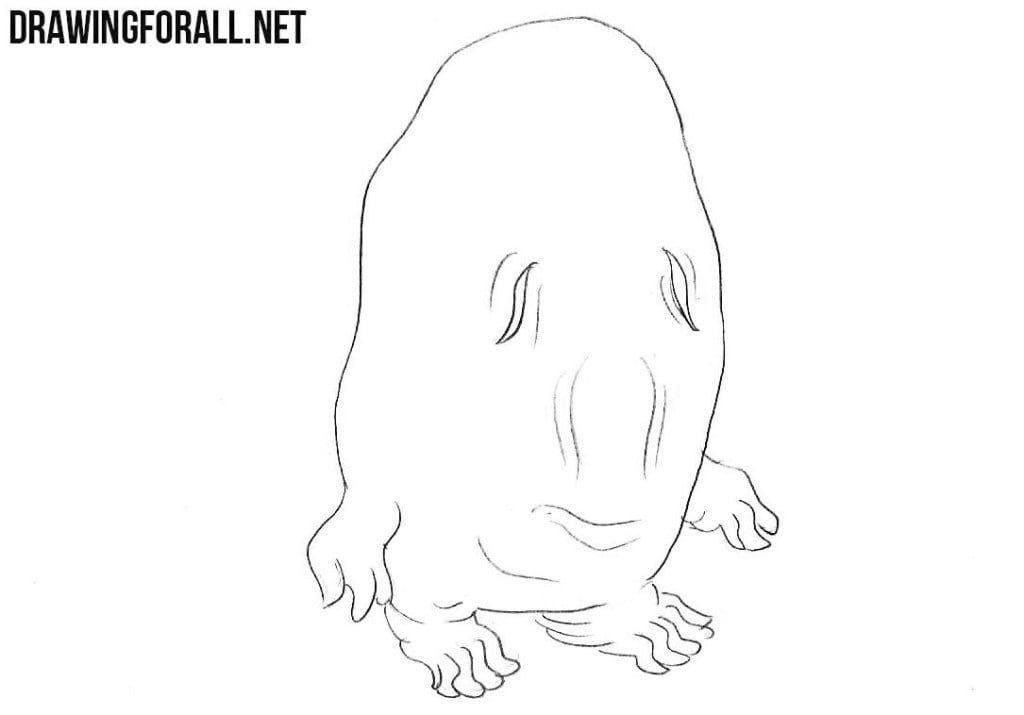 How to draw a Nuppeppo