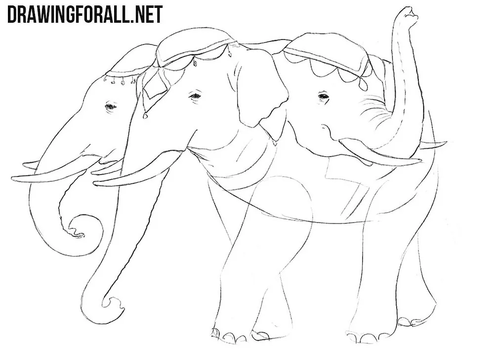 How to draw an indian elephant