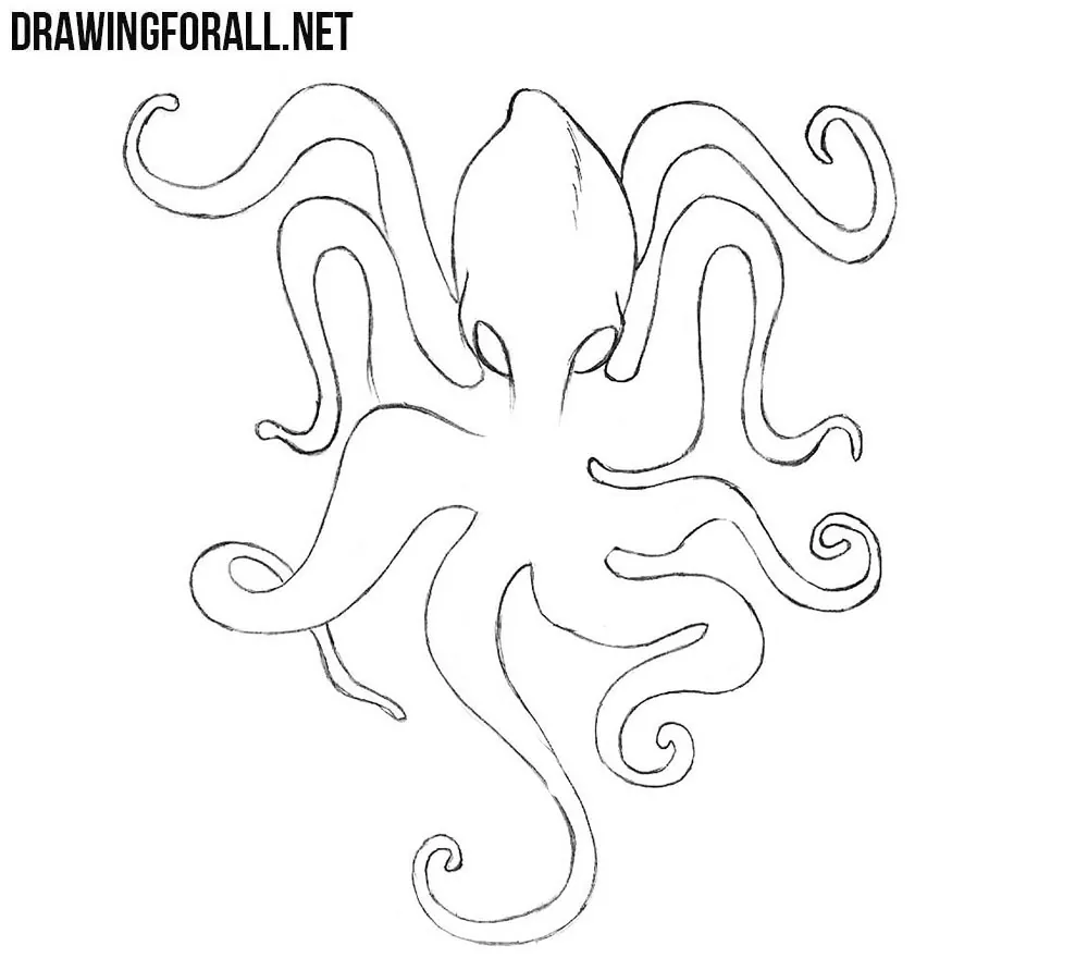 Kraken easy drawing lesson