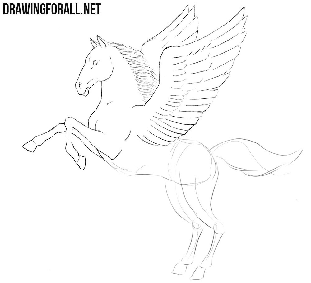 How to draw a Pegasus step by step