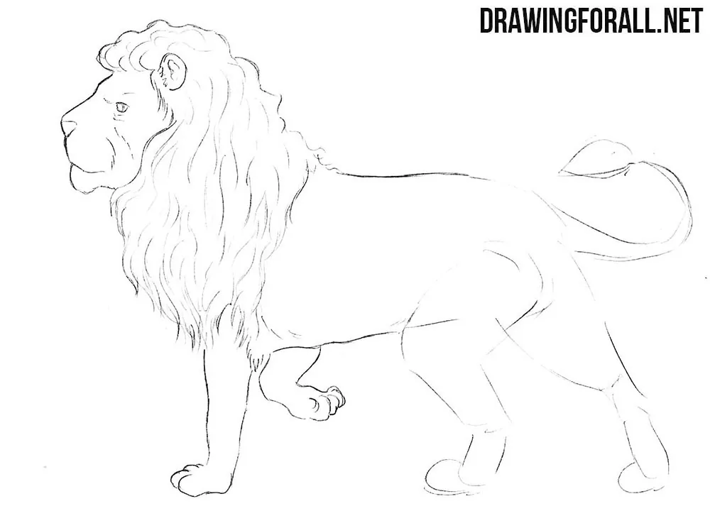 How to draw a mythical lion