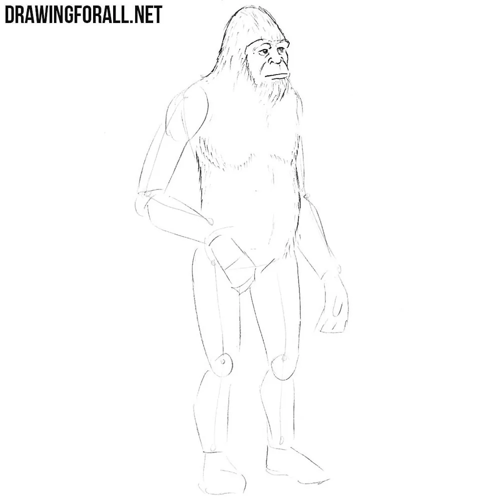 How to draw a yeti