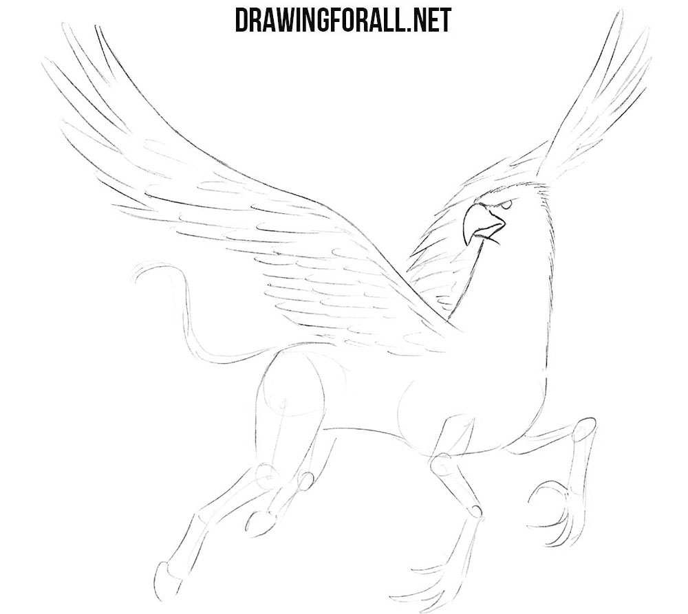 How to sketch a hippogriff