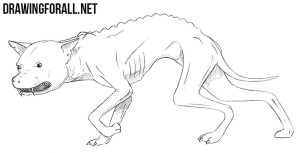 How to Draw a Chupacabra