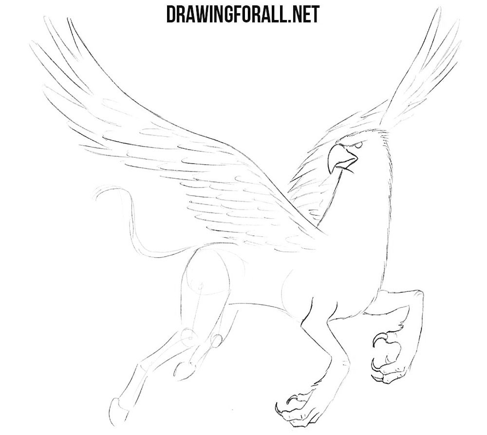 How to draw a hippogriff step by step