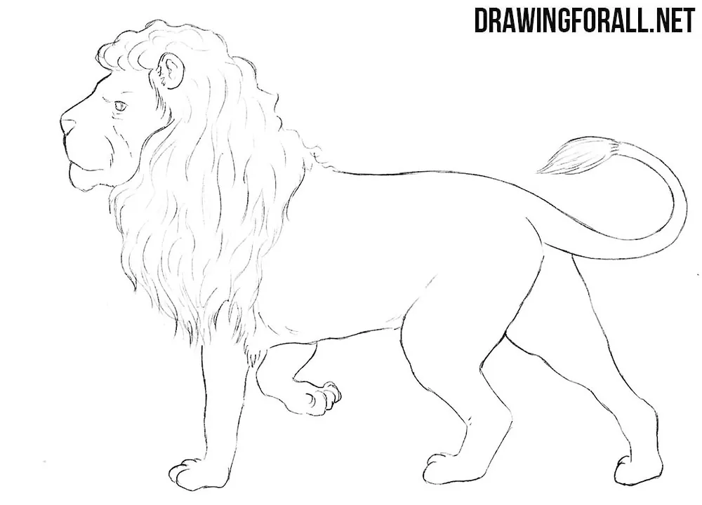 Nemean lion drawing