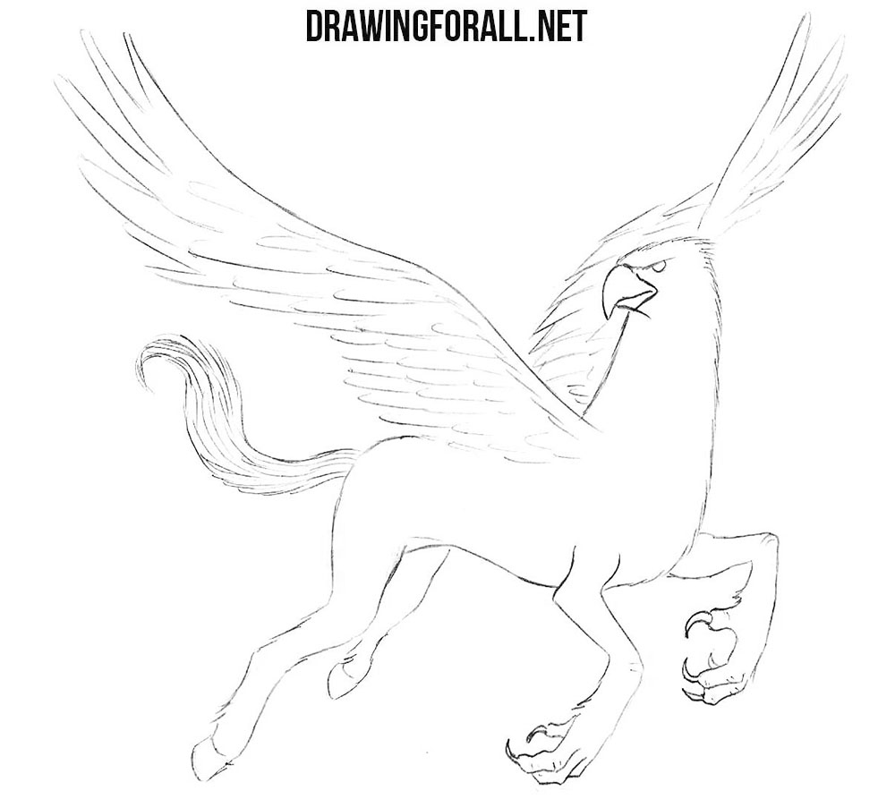 Hippogriff drawing tutorial