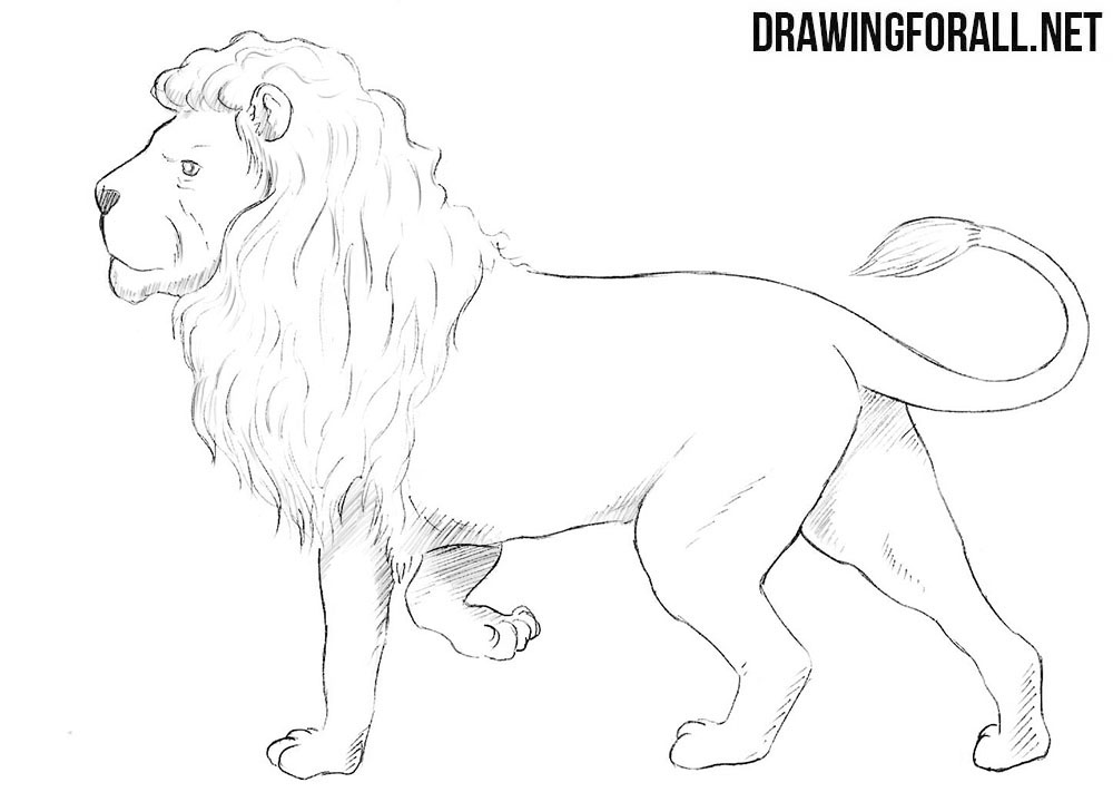 How to draw a Nemean lion