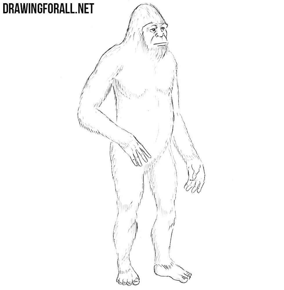 How to draw a yeti