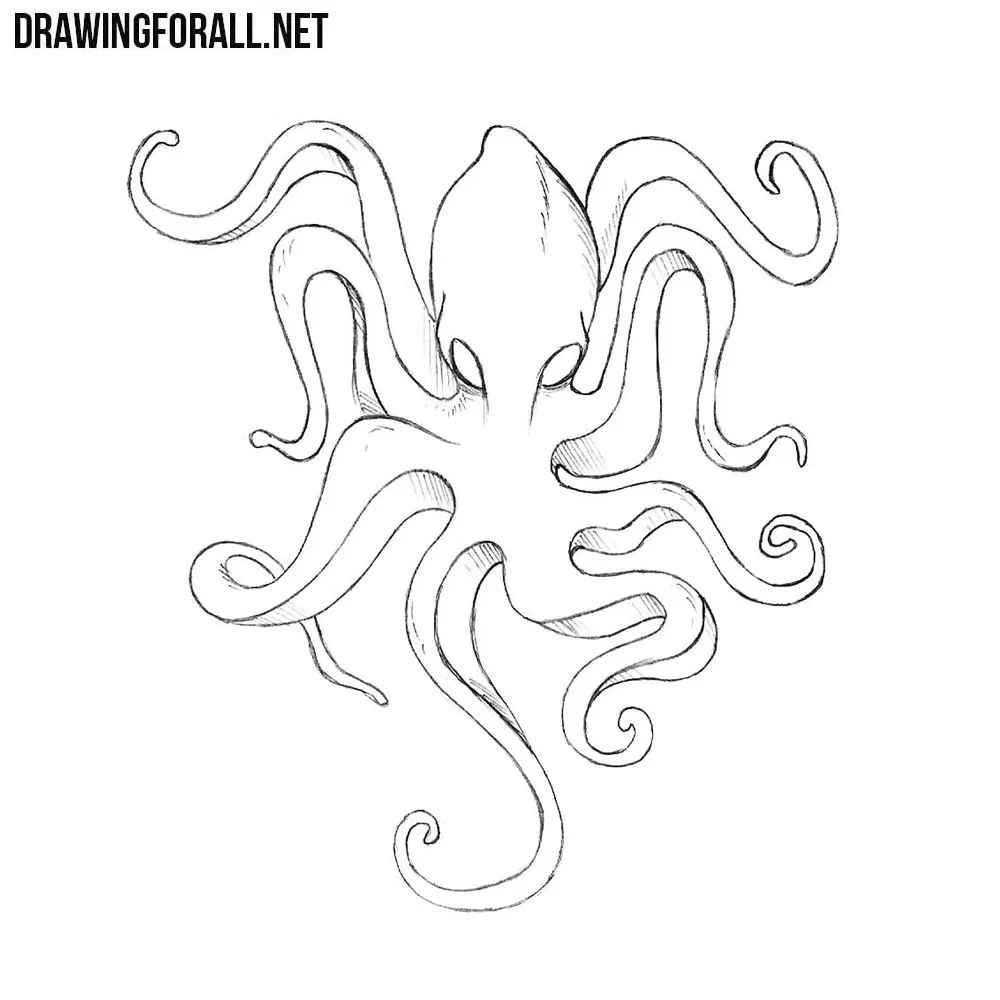 How to Draw Kraken Easy