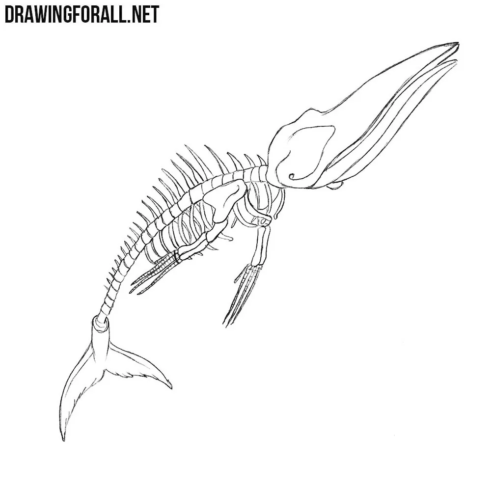How to Draw a Bake-Kujira
