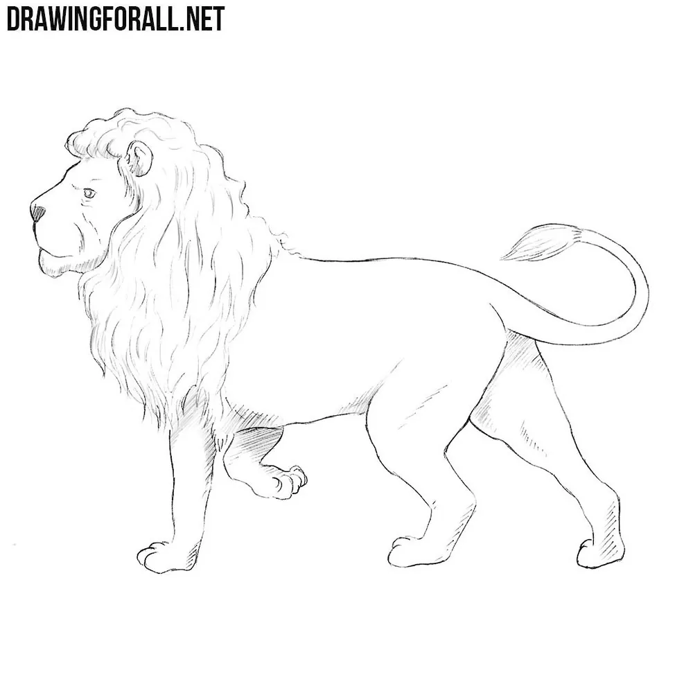 How to Draw a Nemean Lion | Drawingforall.net