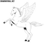 How to Draw a Pegasus