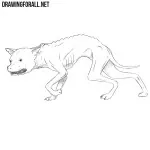 How to Draw a Chupacabra