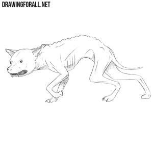 How to Draw a Chupacabra