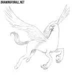 How to Draw a Hippogriff
