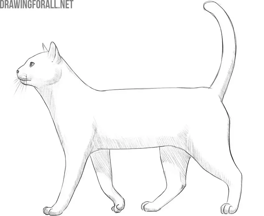 Review and complete the drawing