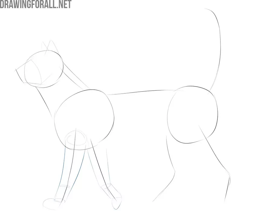 Add volume to the front legs