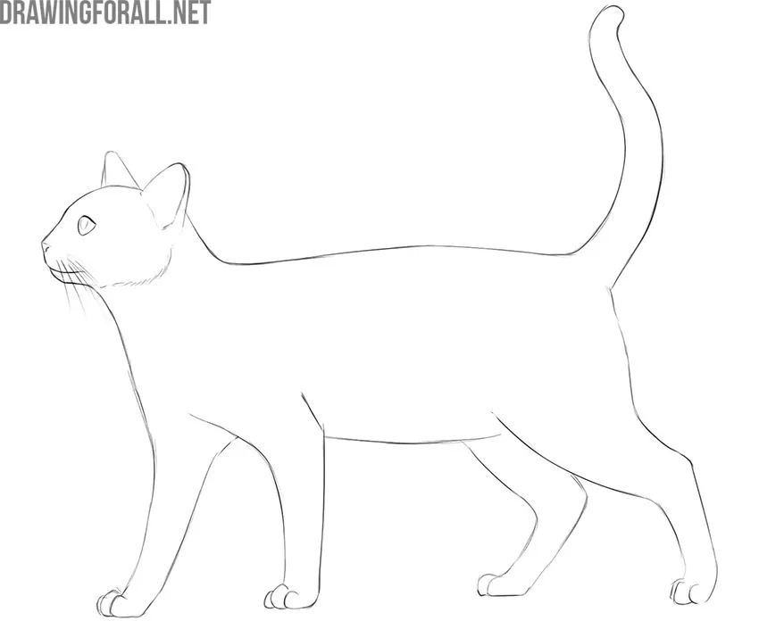 Drawing of a cautious cat in a careful stance