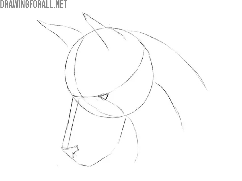 Add the eyes, nose, and ears