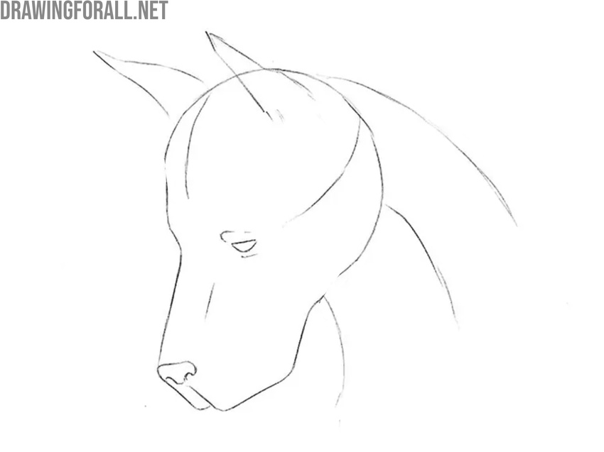 Draw the dog face in detail