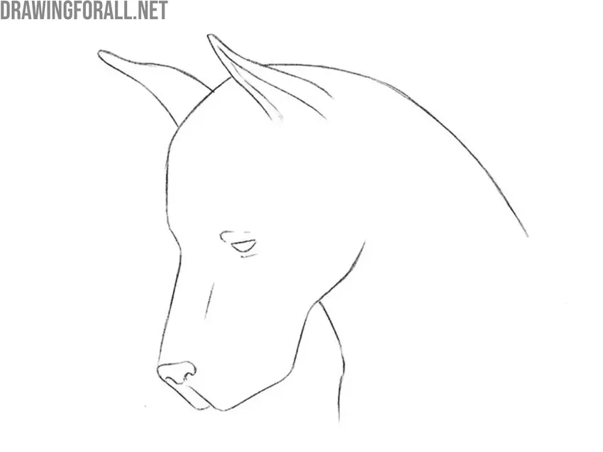 Refine the ears and the top of the head 