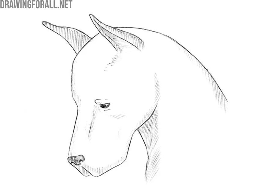 Shade and complete the dog head