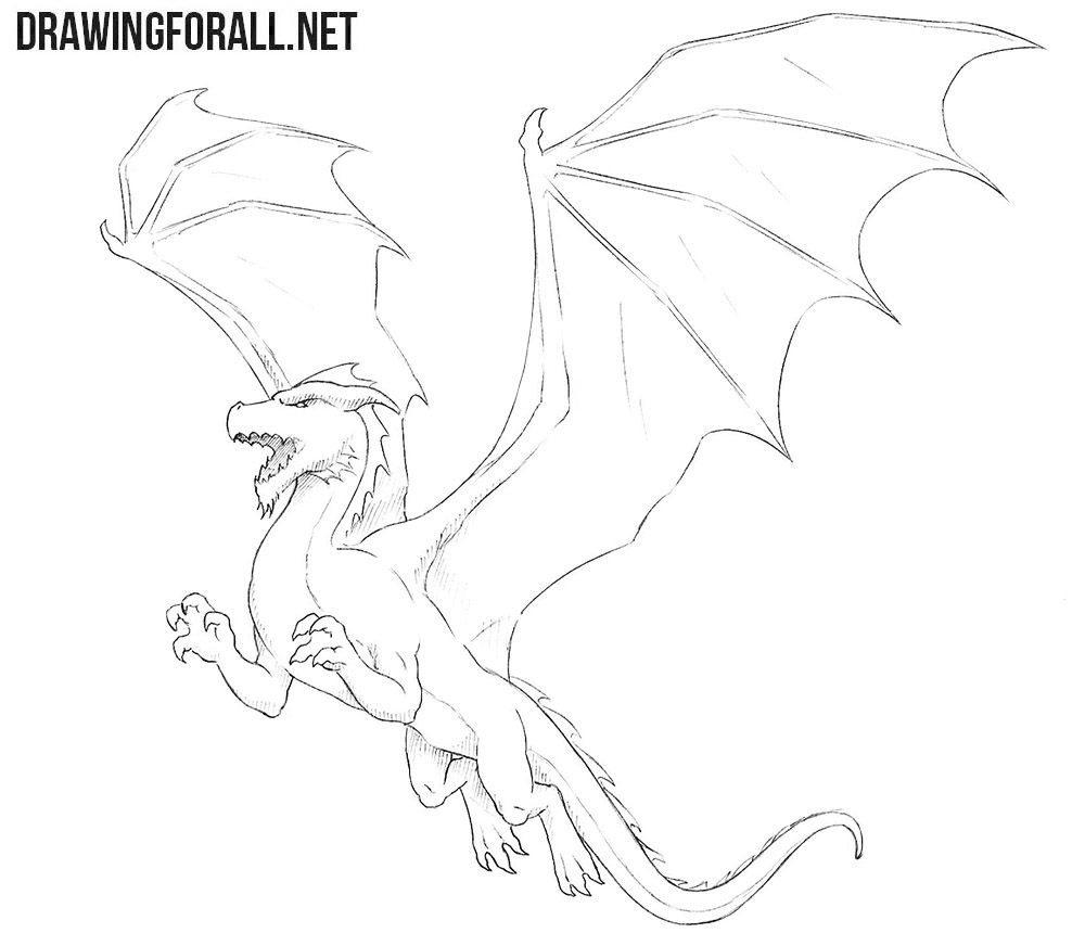 Dragon for beginners drawing
