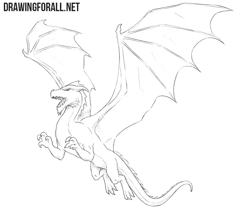 Dragon Drawing Ideas » How to draw a Dragon