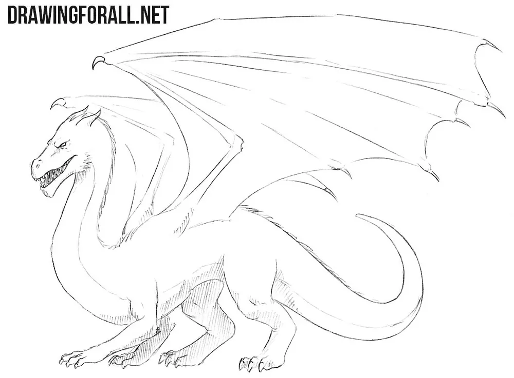 Learn how to draw a Cute Dragon step by step  Easy drawings