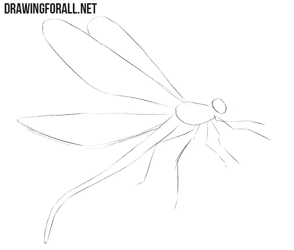 Dragonfly drawing lessons