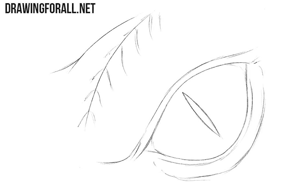 Learn how to draw a dragon eye step by step
