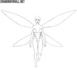 How to Draw The Wasp