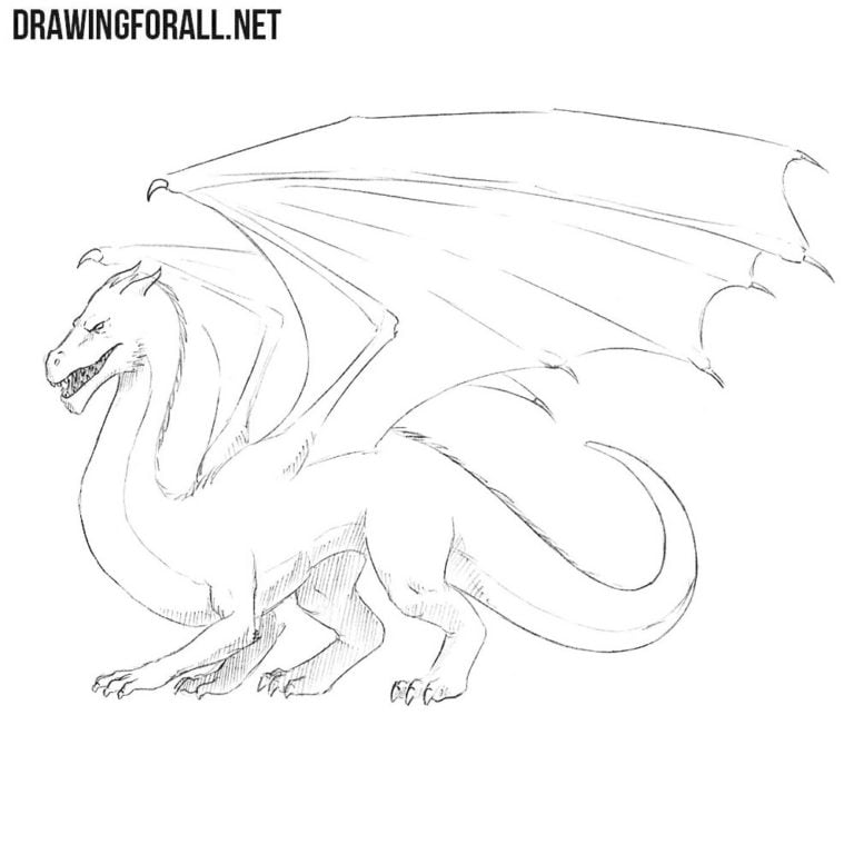 How to draw a dragon easy