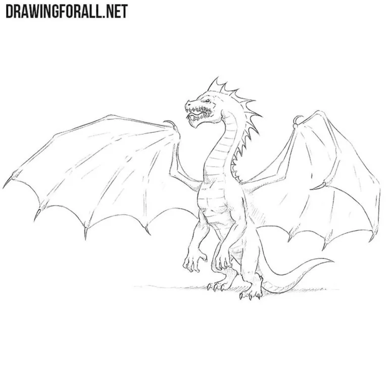 How to Draw a Dragon Step by Step