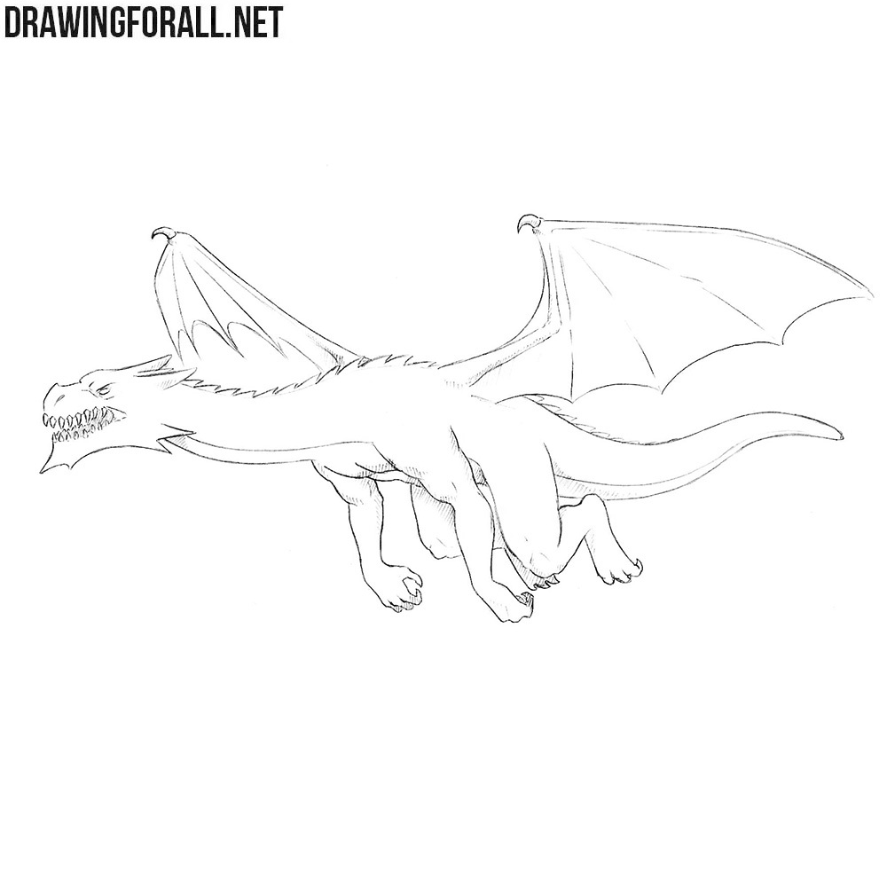 Featured image of post Flying Dragon Drawing Outline Let s be honest it s their wings that interests us