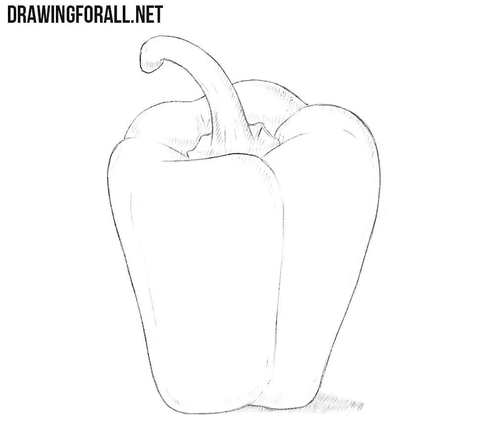 Bell pepper drawing