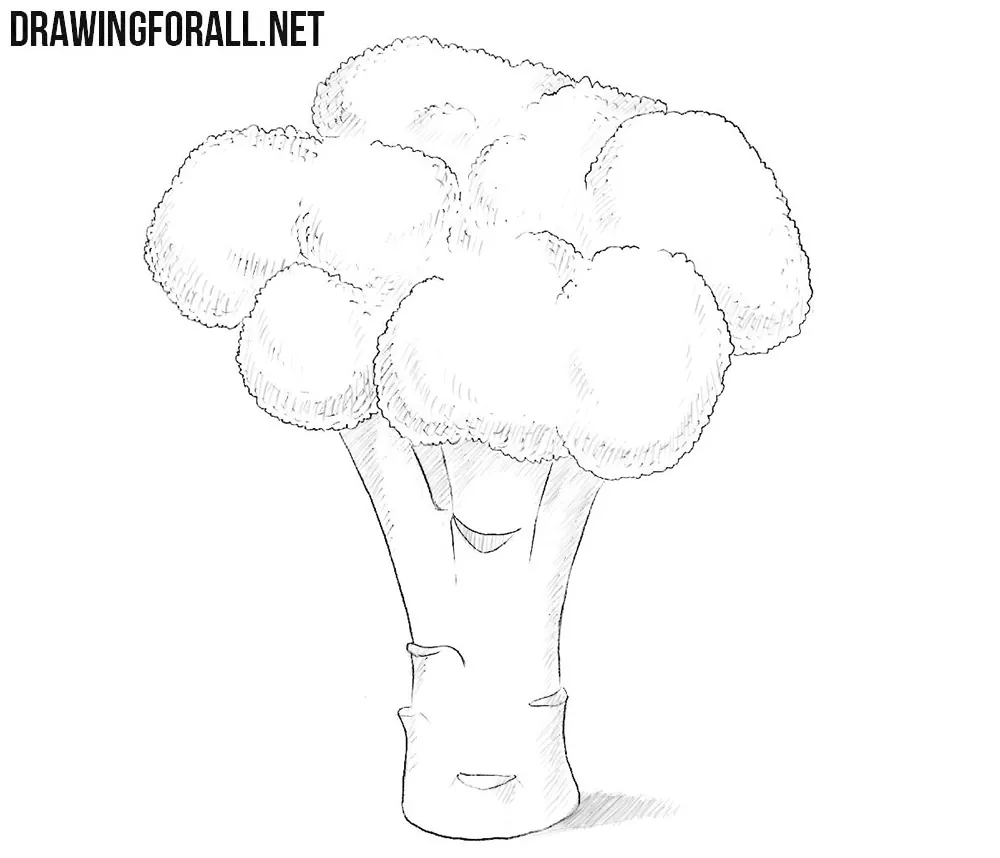 Broccoli drawing