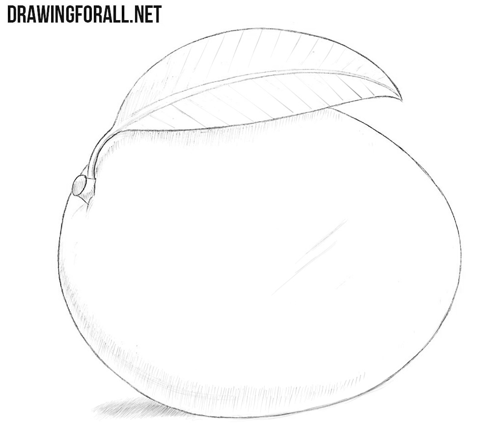 Mango drawing tutorial